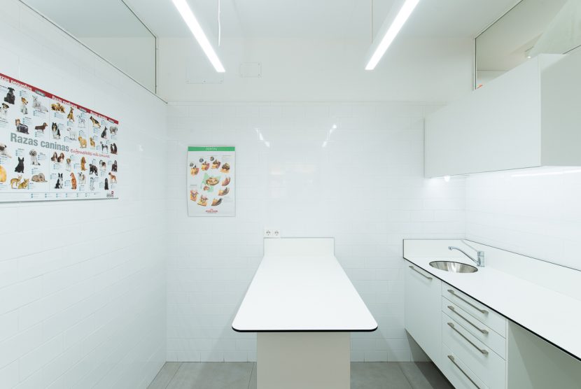 Veterinaria.Web-9.jpg